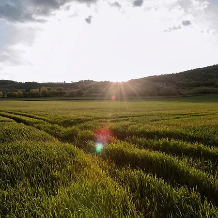 Jokai7 Aparthotel 3*