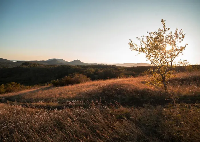 Aparthotel Jokai7 Mindszentkálla