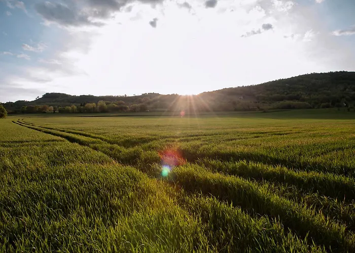 Jokai7 Aparthotel 3*